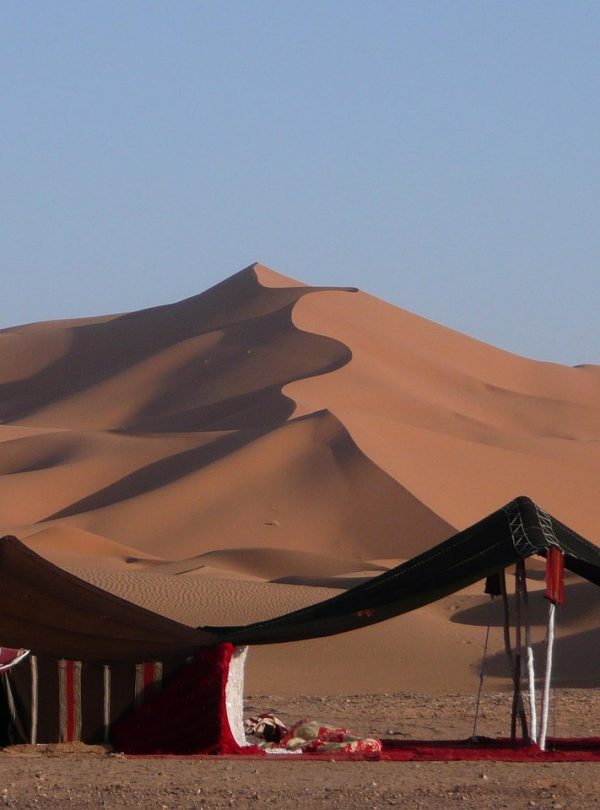 desert, camp, morocco, nature, africa, marroc, sand, sand dunes, dune, sahara, drought, yellow, sun, landscape, tuareg, adventure, adventure worlds, morocco, morocco, morocco, morocco, morocco, sahara, sahara, tuareg, tuareg, tuareg, tuareg
