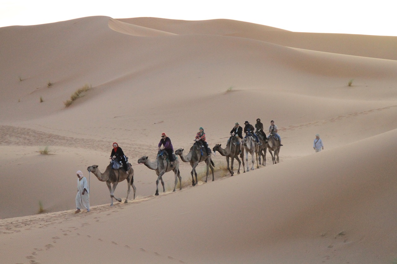 7 days tour from Fes to Marrakech