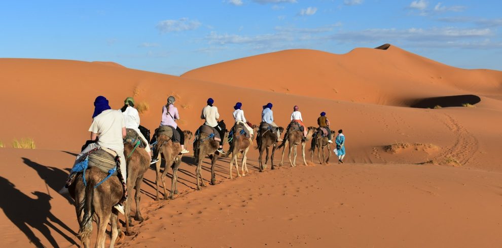 a group of people riding camels in the desert