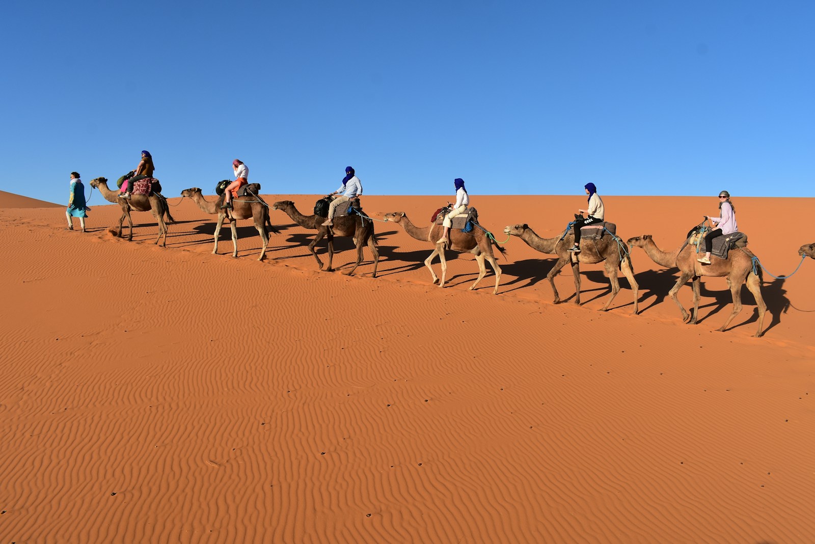 people riding camels in the desert