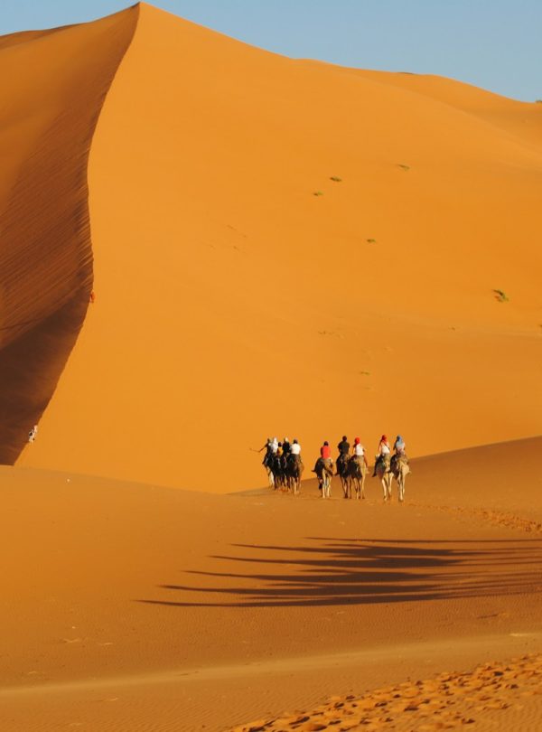 a group of people riding horses across a desert
